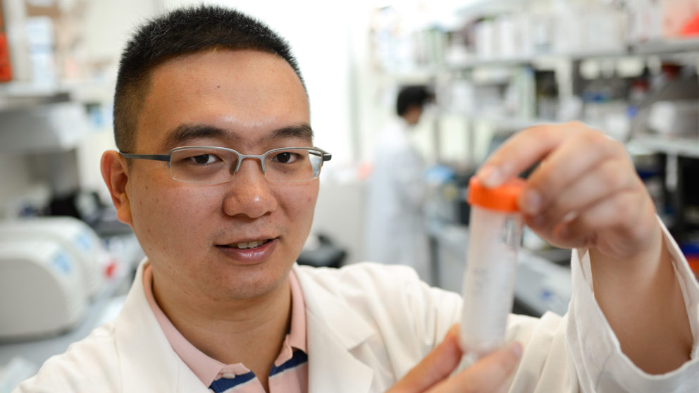 Close up of Dr. Zhen Gu working in his lab