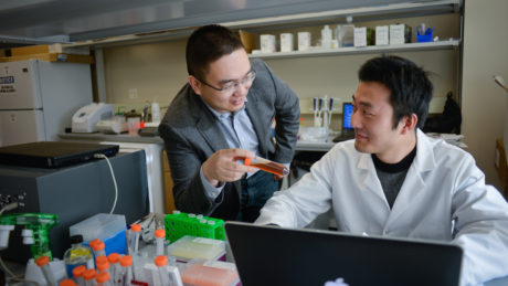 Students work in the lab with Dr. Zhen Zu on Centennial Campus.