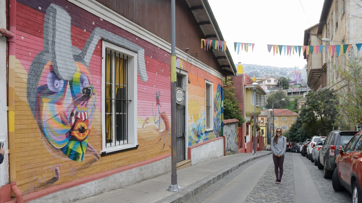 student standing in front of mural in streets of Chile