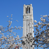 zoom to see a larger version of Belltower and blossoms on a spring morning. photo