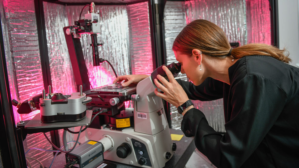 A faculty member from NC State works on research